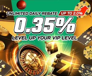 0.35% Unlimited Daily Rebate + up to 2% more for VIP players